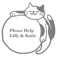  Please help Katie and Lily fight back from illness. . .